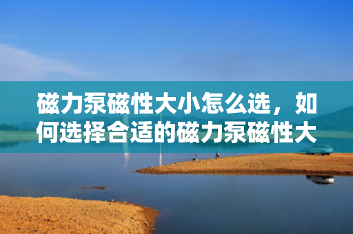磁力泵磁性大小怎么选，如何选择合适的磁力泵磁性大小？