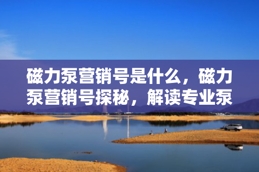 磁力泵营销号是什么，磁力泵营销号探秘，解读专业泵类产品的营销新策略