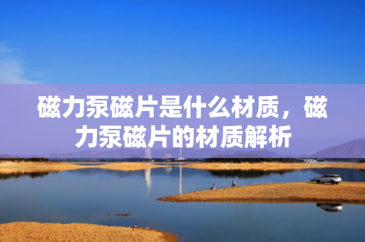 磁力泵磁片是什么材质，磁力泵磁片的材质解析
