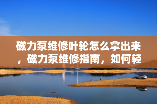 磁力泵维修叶轮怎么拿出来，磁力泵维修指南，如何轻松取出叶轮
