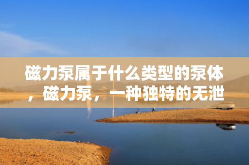 磁力泵属于什么类型的泵体，磁力泵，一种独特的无泄漏泵体类型