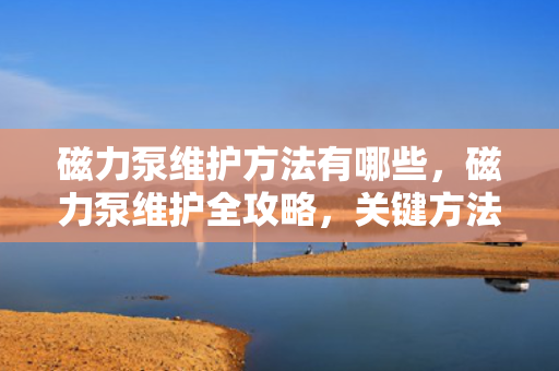 磁力泵维护方法有哪些，磁力泵维护全攻略，关键方法与步骤