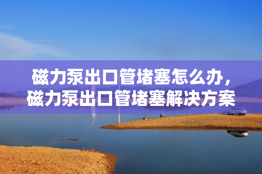 磁力泵出口管堵塞怎么办，磁力泵出口管堵塞解决方案
