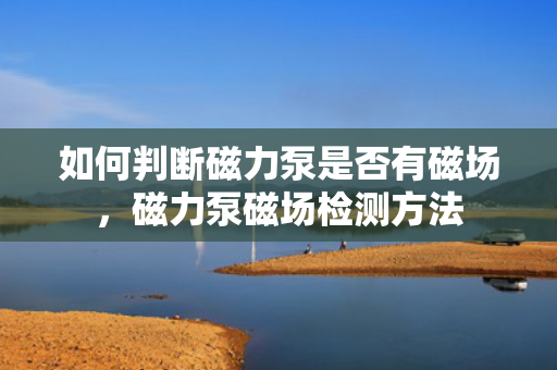 如何判断磁力泵是否有磁场，磁力泵磁场检测方法