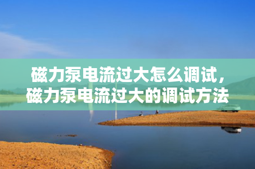 磁力泵电流过大怎么调试，磁力泵电流过大的调试方法与步骤