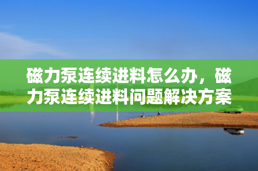 磁力泵连续进料怎么办，磁力泵连续进料问题解决方案