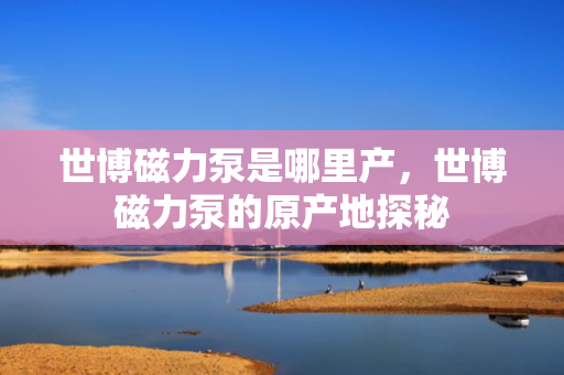 世博磁力泵是哪里产，世博磁力泵的原产地探秘