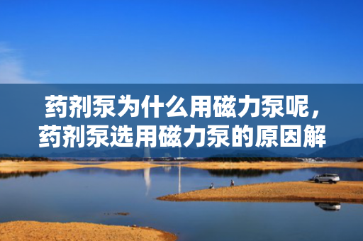 药剂泵为什么用磁力泵呢，药剂泵选用磁力泵的原因解析