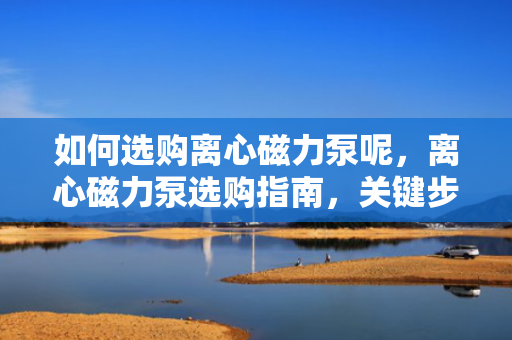 如何选购离心磁力泵呢，离心磁力泵选购指南，关键步骤与注意事项
