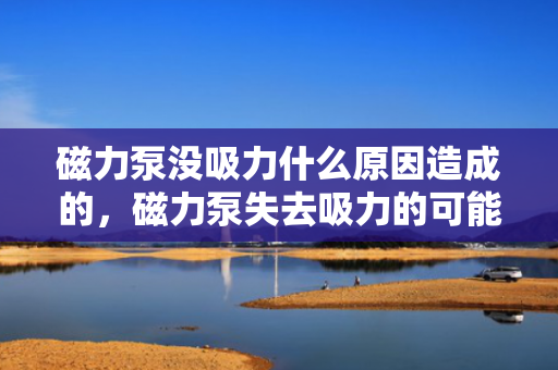 磁力泵没吸力什么原因造成的，磁力泵失去吸力的可能原因解析