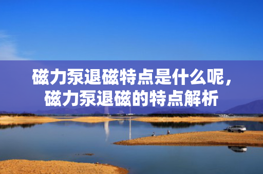 磁力泵退磁特点是什么呢，磁力泵退磁的特点解析