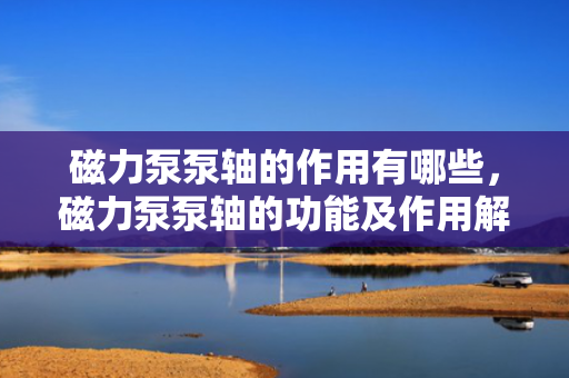 磁力泵泵轴的作用有哪些，磁力泵泵轴的功能及作用解析