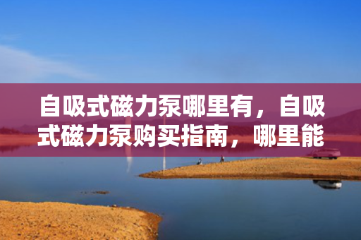 自吸式磁力泵哪里有，自吸式磁力泵购买指南，哪里能找到高品质的产品？