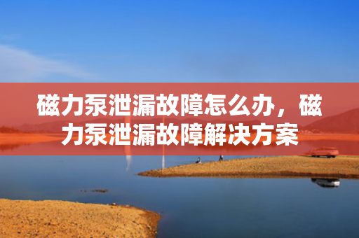 磁力泵泄漏故障怎么办，磁力泵泄漏故障解决方案