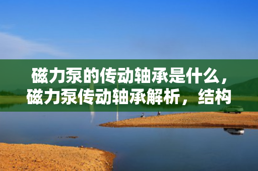 磁力泵的传动轴承是什么，磁力泵传动轴承解析，结构与功能一览