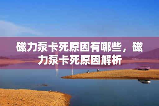 磁力泵卡死原因有哪些，磁力泵卡死原因解析