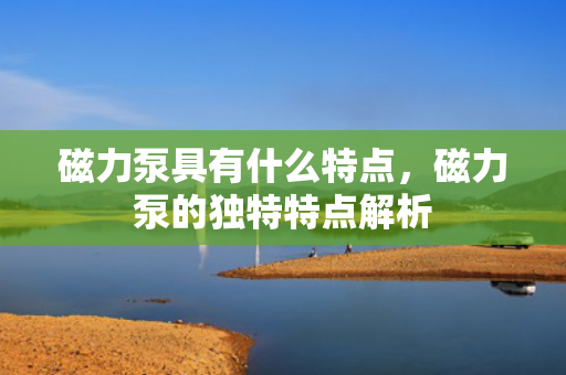 磁力泵具有什么特点，磁力泵的独特特点解析