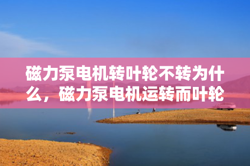 磁力泵电机转叶轮不转为什么，磁力泵电机运转而叶轮不转的原因解析