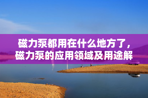 磁力泵都用在什么地方了，磁力泵的应用领域及用途解析