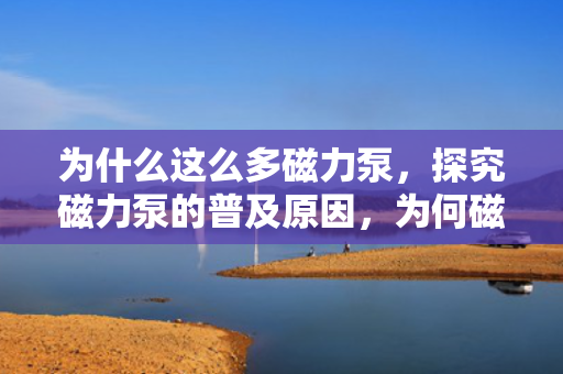 为什么这么多磁力泵，探究磁力泵的普及原因，为何磁力泵如此受欢迎？