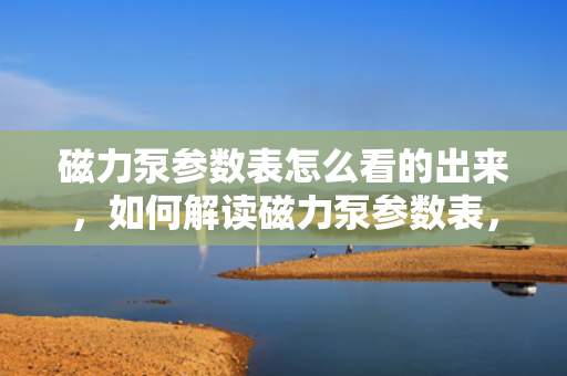 磁力泵参数表怎么看的出来，如何解读磁力泵参数表，一份简明指南