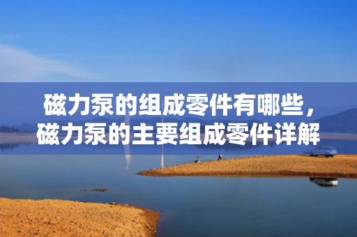 磁力泵的组成零件有哪些，磁力泵的主要组成零件详解