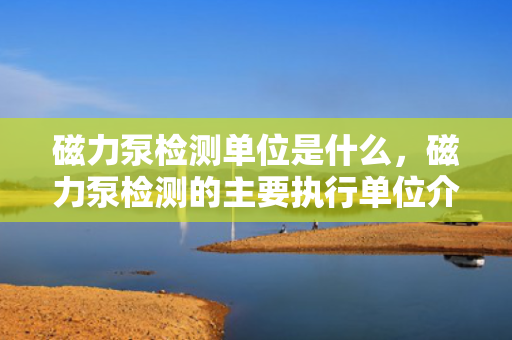 磁力泵检测单位是什么，磁力泵检测的主要执行单位介绍