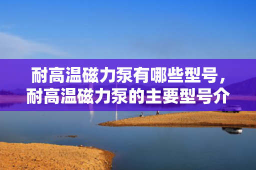 耐高温磁力泵有哪些型号，耐高温磁力泵的主要型号介绍