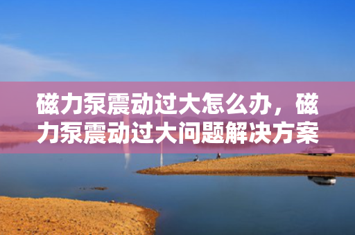 磁力泵震动过大怎么办，磁力泵震动过大问题解决方案