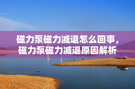磁力泵磁力减退怎么回事，磁力泵磁力减退原因解析