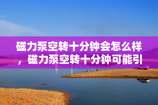 磁力泵空转十分钟会怎么样，磁力泵空转十分钟可能引发的后果与风险