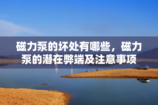 磁力泵的坏处有哪些，磁力泵的潜在弊端及注意事项