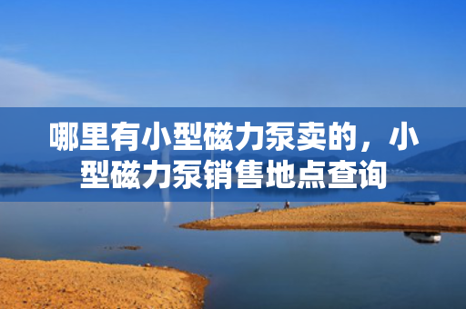 哪里有小型磁力泵卖的，小型磁力泵销售地点查询