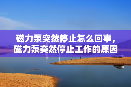 磁力泵突然停止怎么回事，磁力泵突然停止工作的原因及解决方法