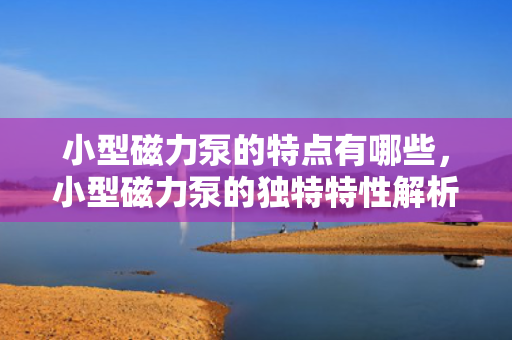 小型磁力泵的特点有哪些，小型磁力泵的独特特性解析