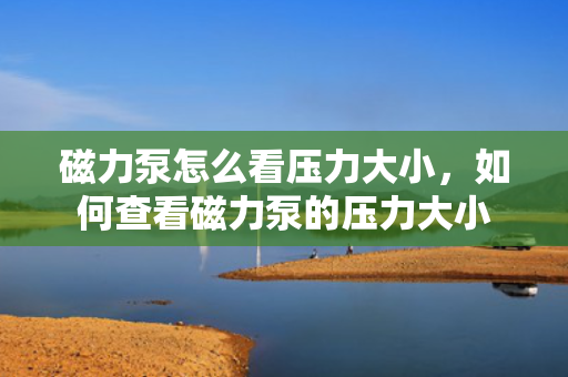 磁力泵怎么看压力大小，如何查看磁力泵的压力大小