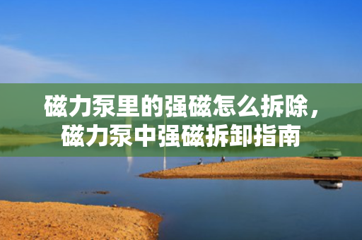 磁力泵里的强磁怎么拆除，磁力泵中强磁拆卸指南
