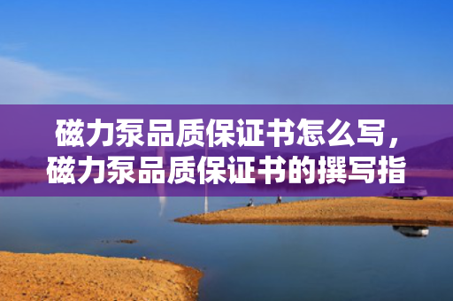 磁力泵品质保证书怎么写，磁力泵品质保证书的撰写指南