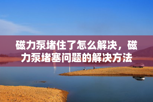 磁力泵堵住了怎么解决，磁力泵堵塞问题的解决方法