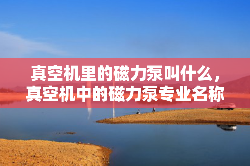 真空机里的磁力泵叫什么，真空机中的磁力泵专业名称解析
