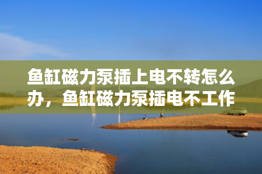 鱼缸磁力泵插上电不转怎么办，鱼缸磁力泵插电不工作解决方案
