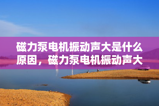 磁力泵电机振动声大是什么原因，磁力泵电机振动声大的原因解析