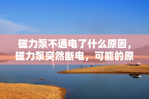 磁力泵不通电了什么原因，磁力泵突然断电，可能的原因及解决方案