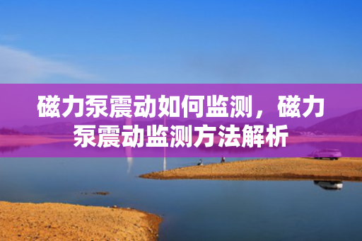 磁力泵震动如何监测，磁力泵震动监测方法解析