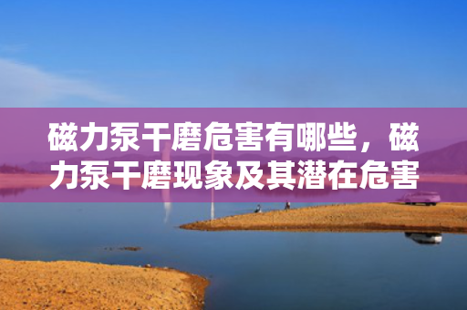磁力泵干磨危害有哪些，磁力泵干磨现象及其潜在危害解析