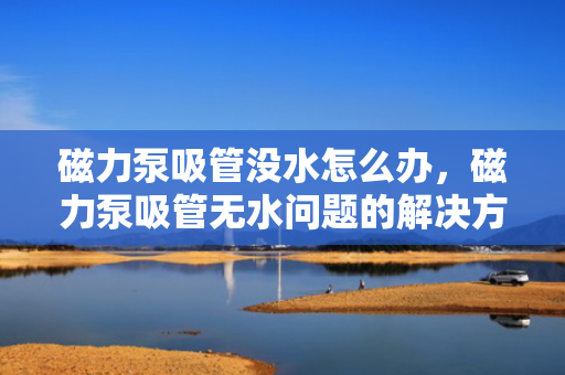 磁力泵吸管没水怎么办，磁力泵吸管无水问题的解决方案
