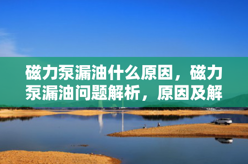 磁力泵漏油什么原因，磁力泵漏油问题解析，原因及解决方案