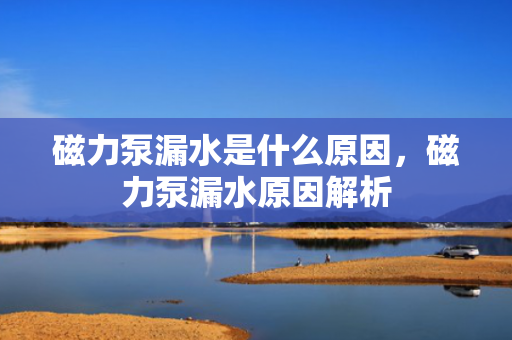 磁力泵漏水是什么原因，磁力泵漏水原因解析
