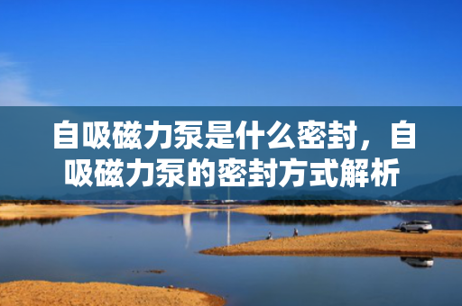 自吸磁力泵是什么密封，自吸磁力泵的密封方式解析