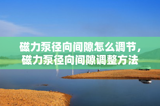 磁力泵径向间隙怎么调节，磁力泵径向间隙调整方法